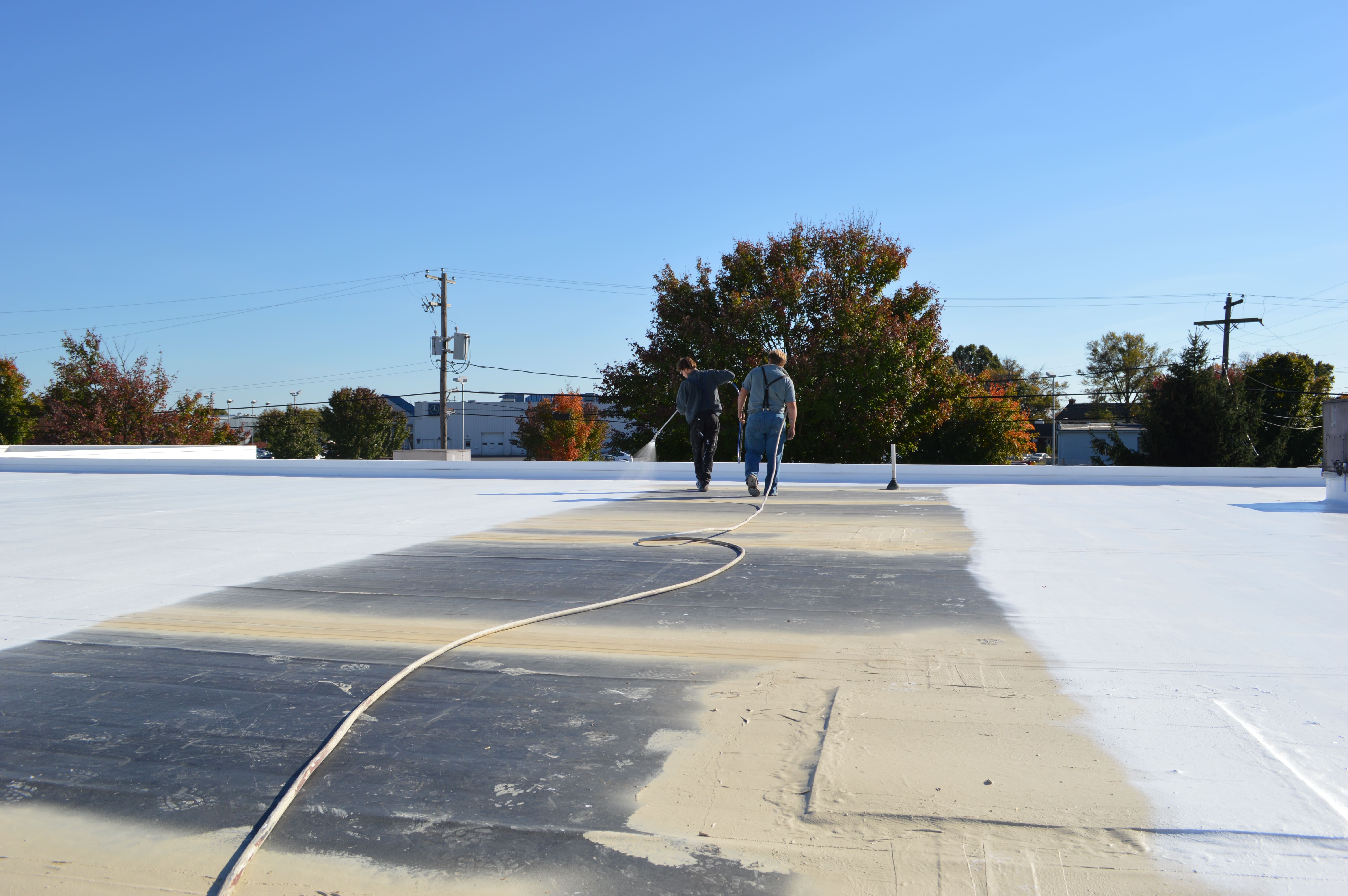 SINGLE-PLY ROOFING IN KALEVA, MI