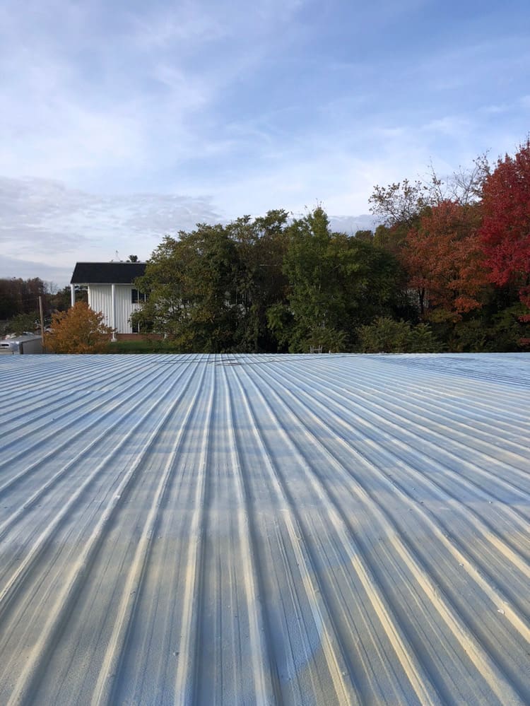 SINGLE-PLY ROOFING IN KALEVA, MI